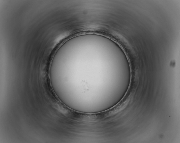 X0000101691210200807241401