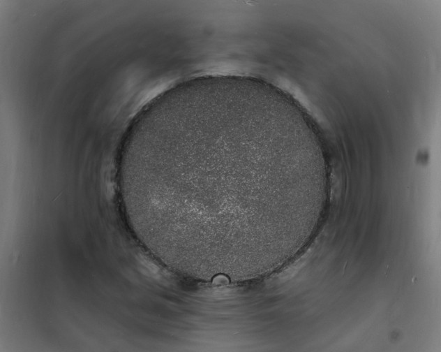 X0000101691213200807241401