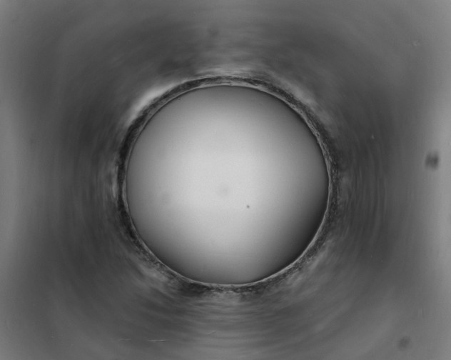 X0000101691214200807241401