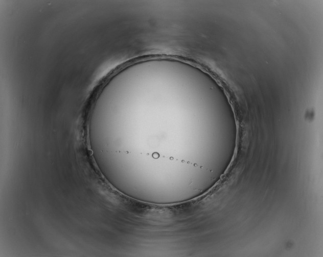 X0000101691215200807241401