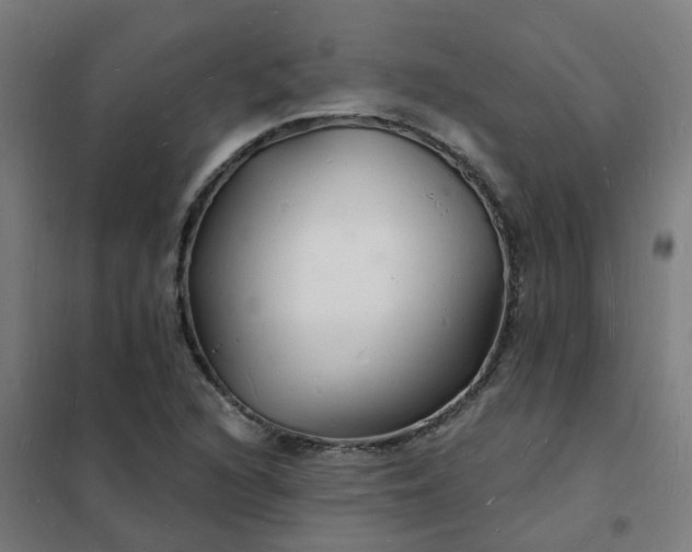 X0000101691216200807241401