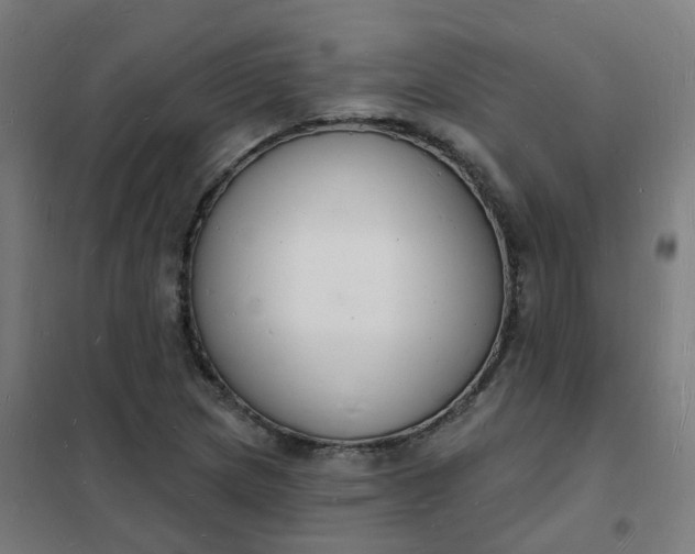 X0000101691217200807241401