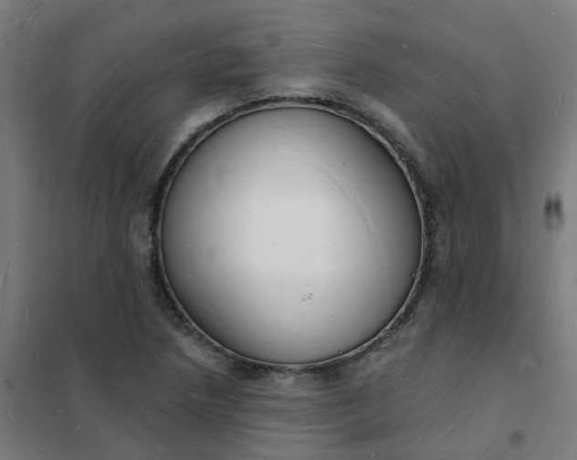 X0000101691218200807241401