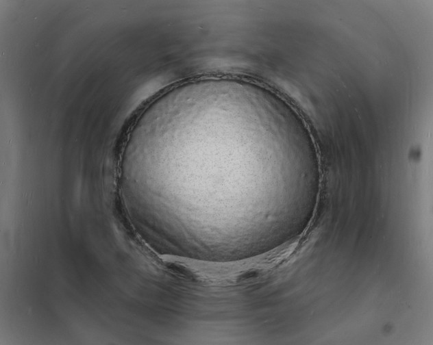 X0000101691219200807241401