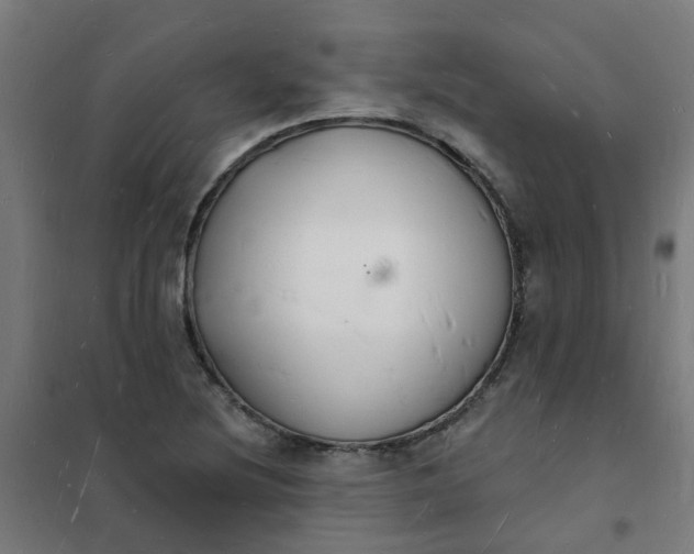 X0000101691220200807241401