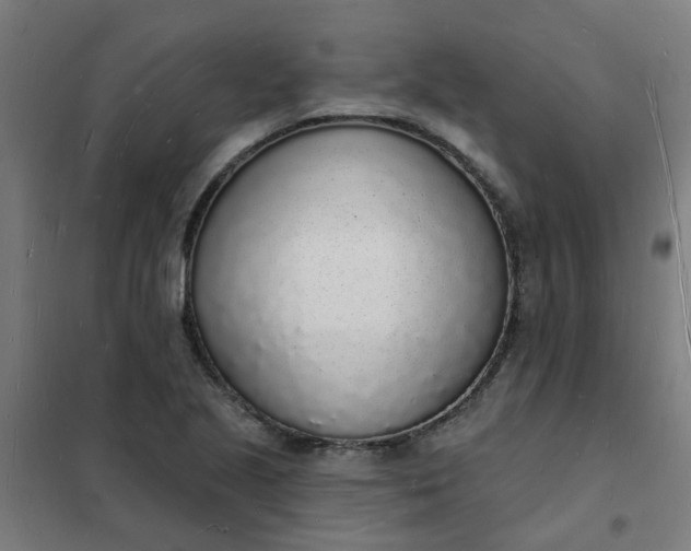 X0000101691221200807241401