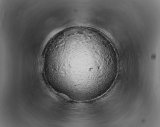 X0000101691223200807241401