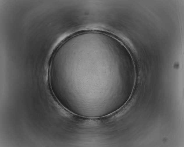 X0000101691224200807241401