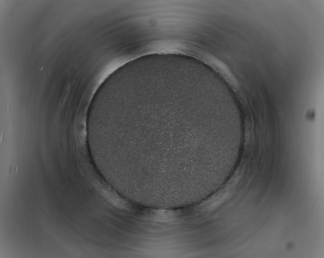 X0000101691226200807241402