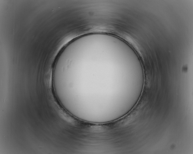 X0000101691227200807241402