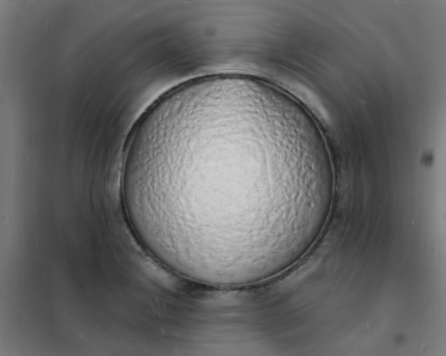 X0000101691228200807241402