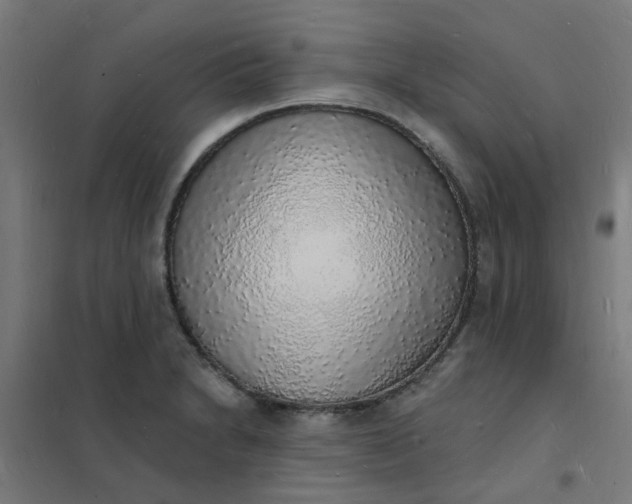 X0000101691230200807241402