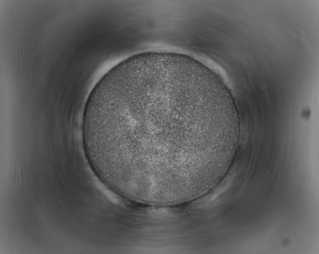 X0000101691231200807241402