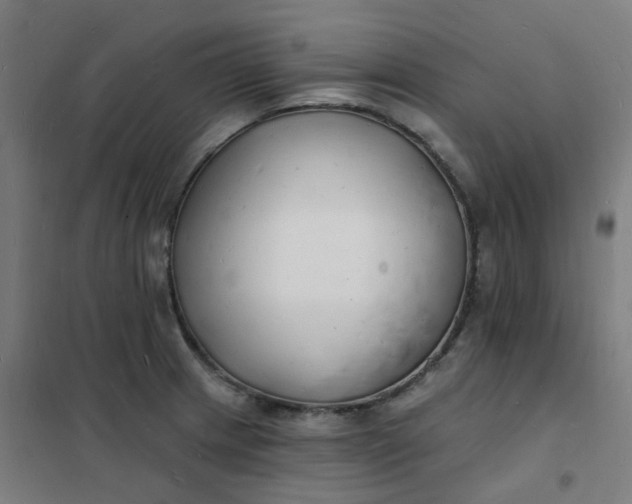 X0000101691233200807241402