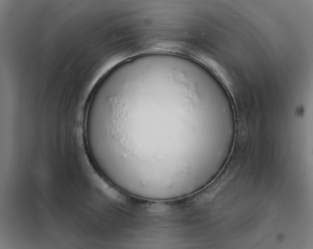 X0000101691235200807241402