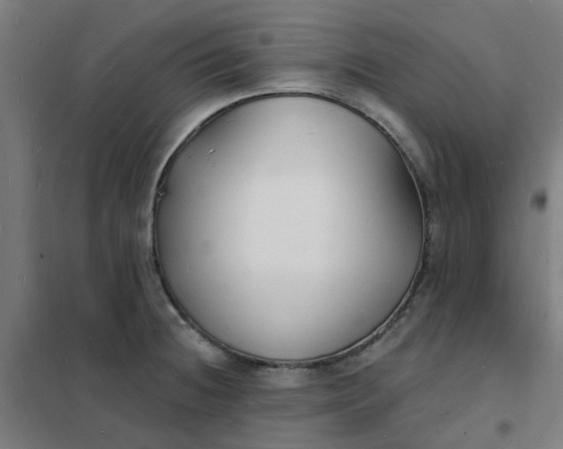 X0000101691236200807241402