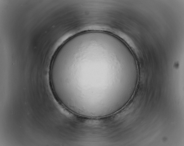 X0000101691237200807241402