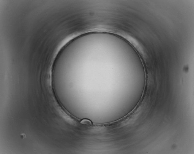 X0000101691238200807241402