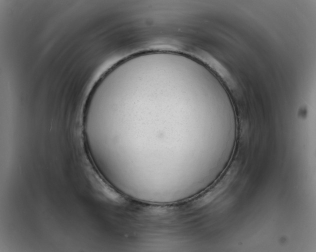 X0000101691240200807241402