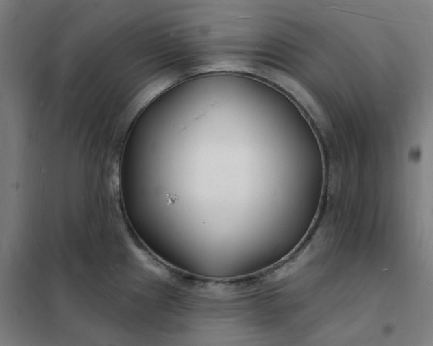 X0000101691241200807241402