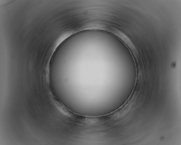 X0000101691242200807241402