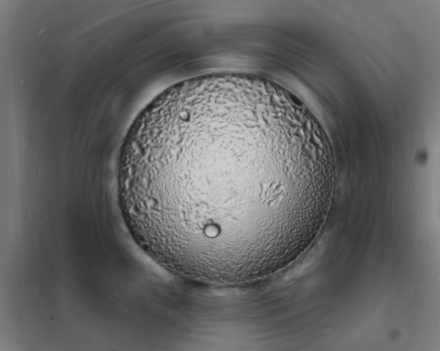 X0000101691243200807241402