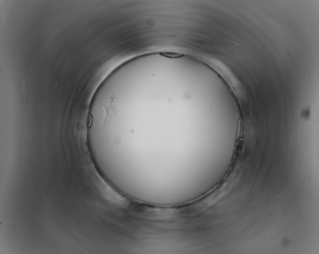 X0000101691244200807241402