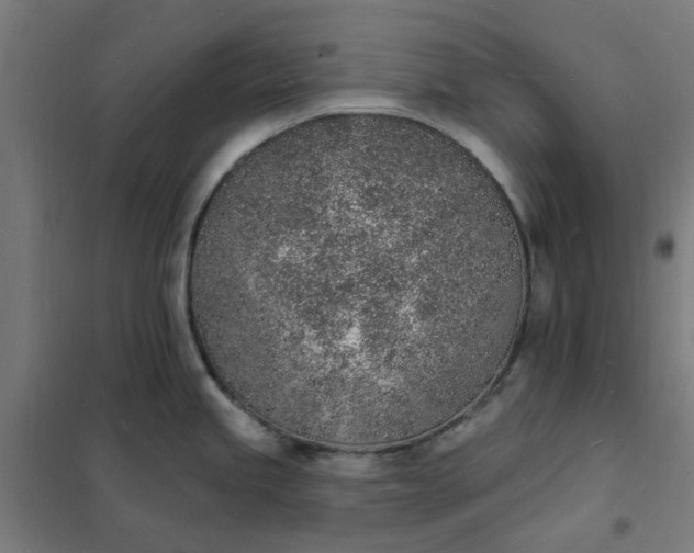 X0000101691245200807241402