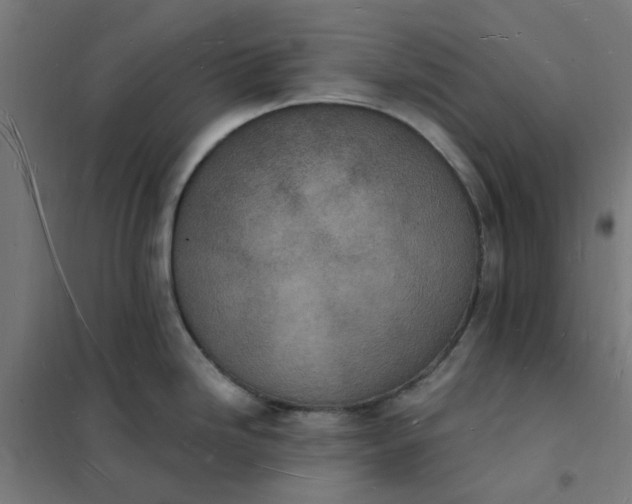 X0000101691246200807241402