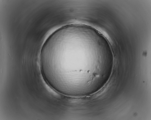 X0000101691247200807241402