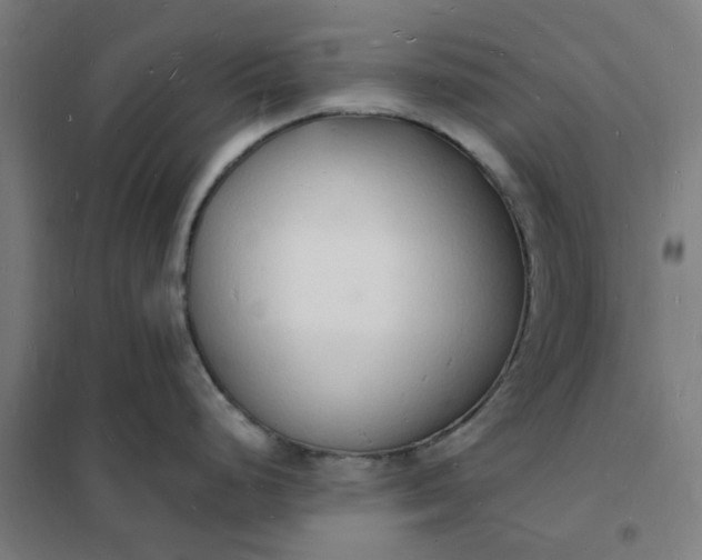 X0000101691248200807241402