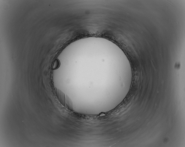 X0000101691249200807241401