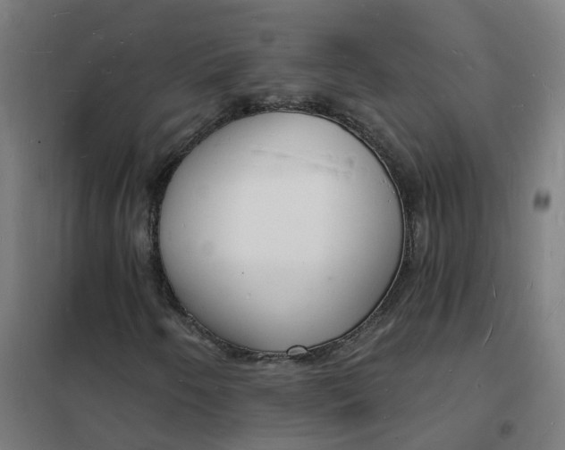 X0000101691250200807241401