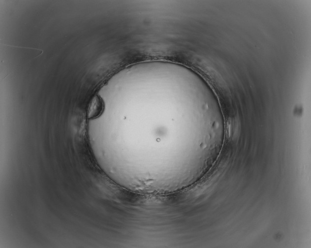 X0000101691251200807241401