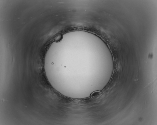 X0000101691253200807241401