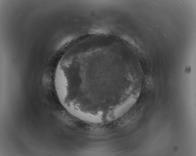 X0000101691254200807241401