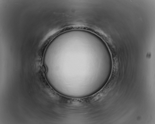 X0000101691255200807241401