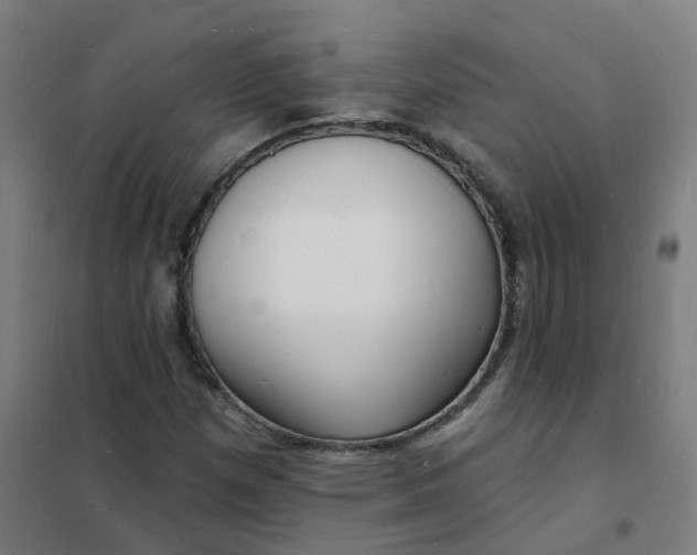 X0000101691257200807241401