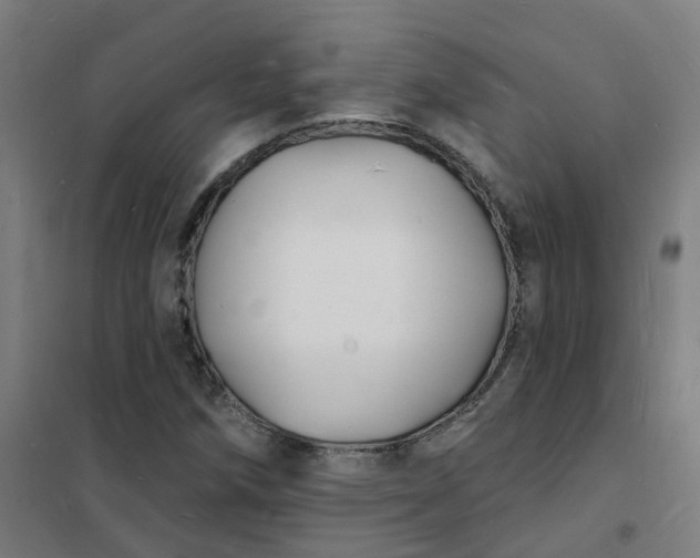 X0000101691258200807241401