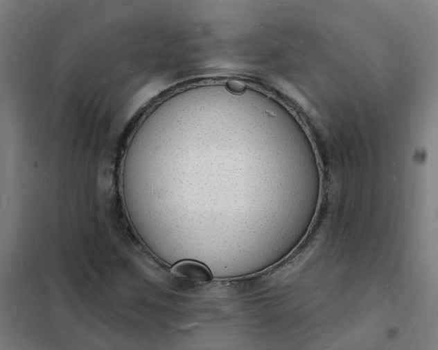 X0000101691259200807241401