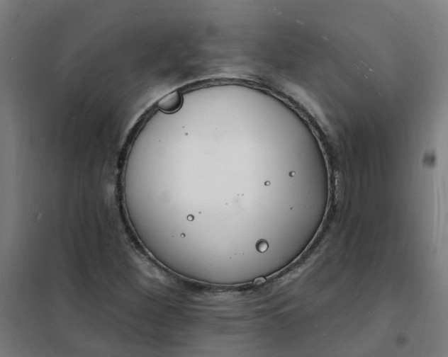 X0000101691260200807241401