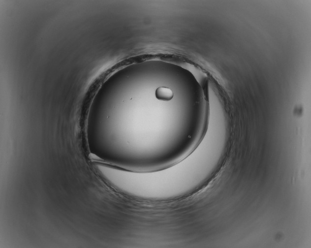 X0000101691261200807241401