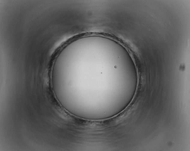 X0000101691262200807241401