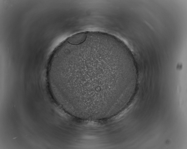 X0000101691263200807241401