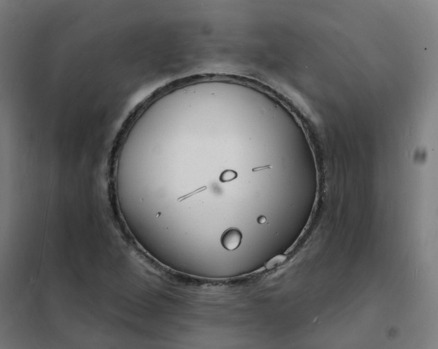 X0000101691264200807241401