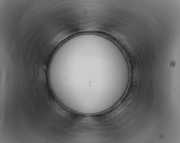 X0000101691265200807241401