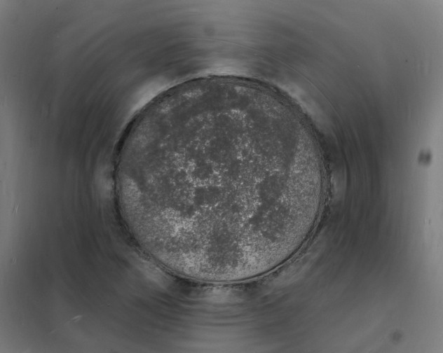 X0000101691266200807241401