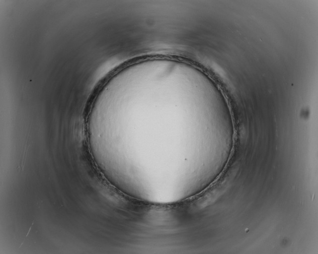 X0000101691267200807241401