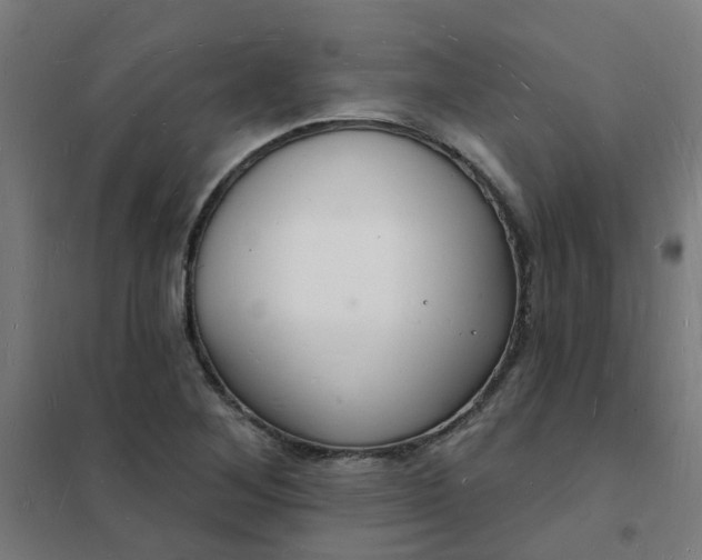 X0000101691268200807241401