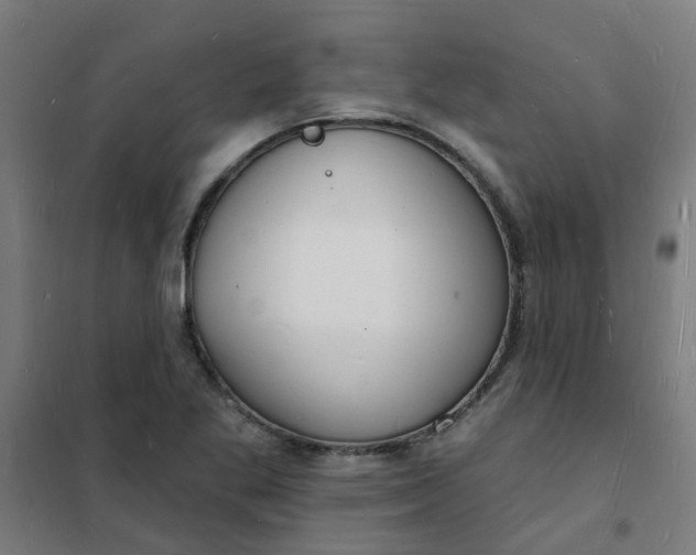 X0000101691269200807241401